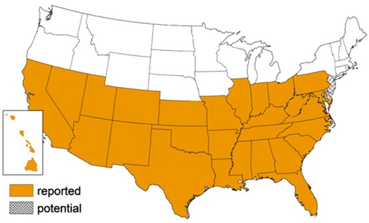 This map details where triatomine "kissing" bugs have been found in the United States.