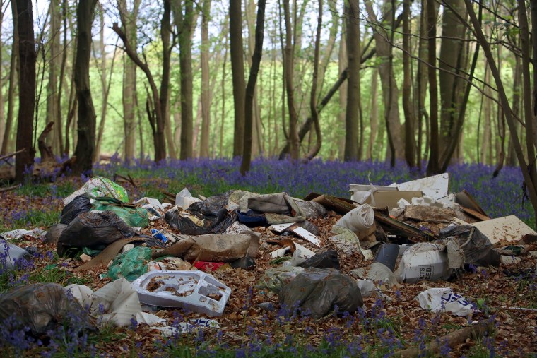 Bluebells grow near piles of trash dumped near the Brocket Hall Estate