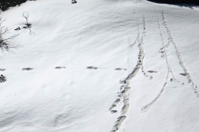 Image: Footprints are seen in the snow near Makalu Base Camp in Nepal
