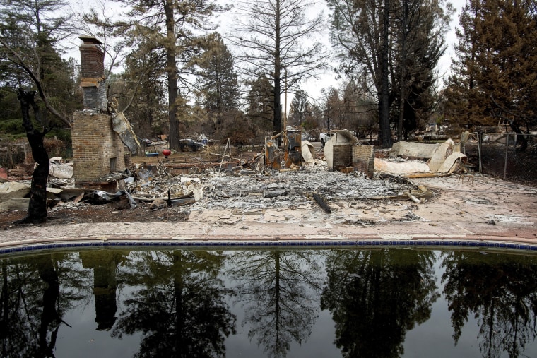 Trees reflect in a swimming pool outside Erica Hail's Paradise, California, home, which burned during the Camp Fire, on Dec. 3, 2018.