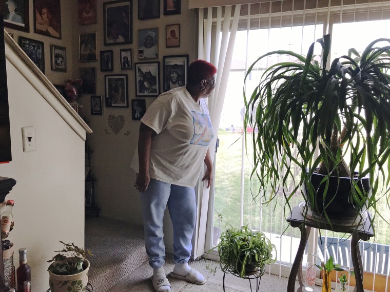 Vanessa Daniels looks out her living window at the Fleming's backyard, at the Hickory Hollow complex in Wayne, Michigan.