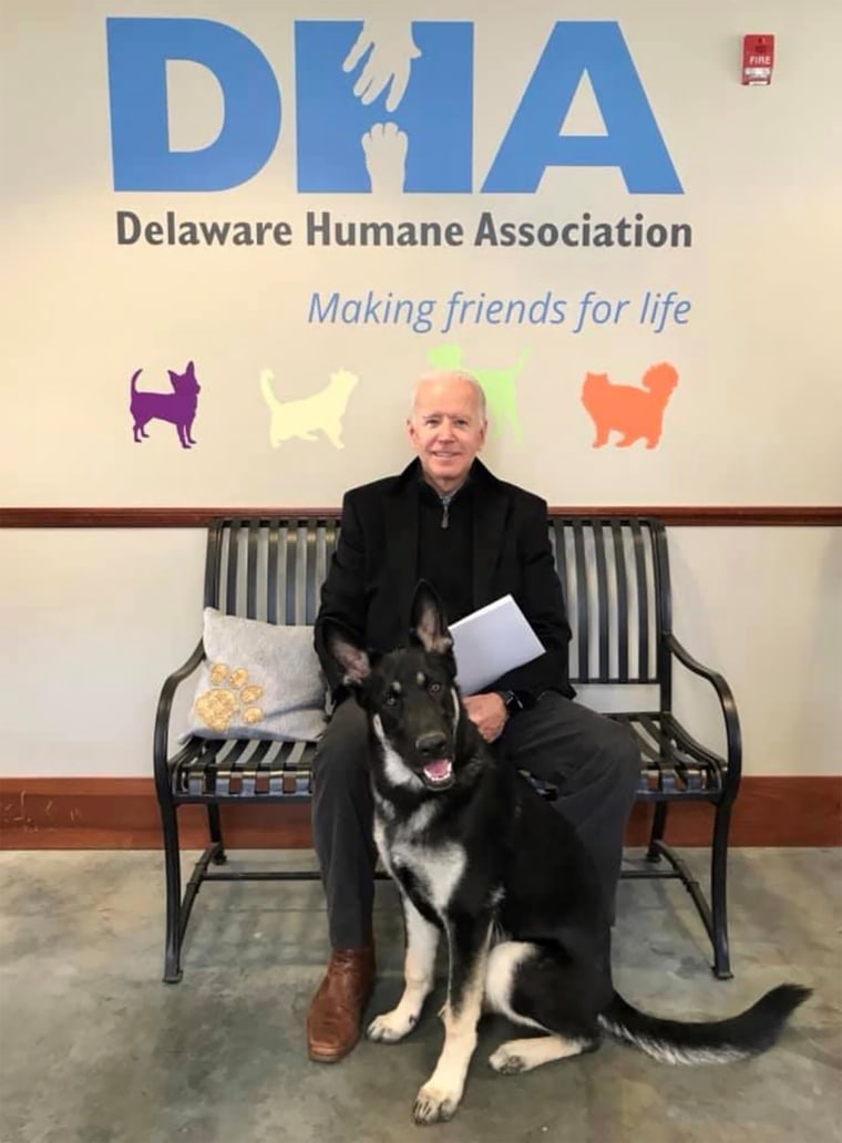 Former vice president and 2020 presidential candidate, Joe Biden, poses for a portrait with his newly adopted dog, Major.