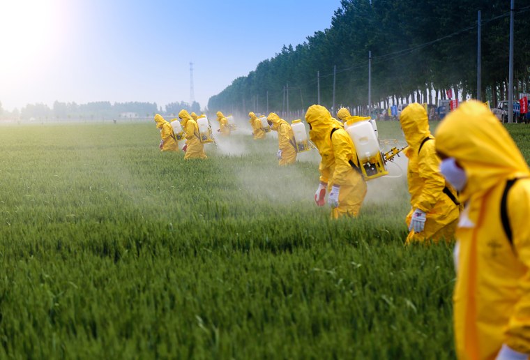 Image: Pesticide