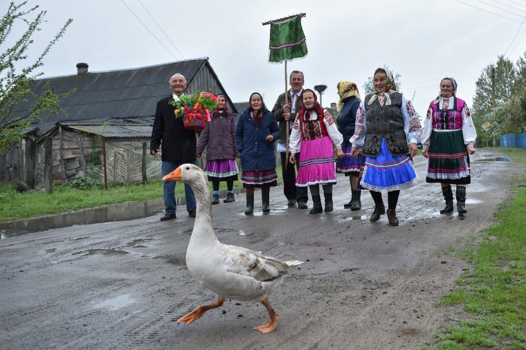 Image: A goose walks in the road as villagers take part in a Yurya religious ritual for good harvest in Lutki, Belarus on May 6, 2019.