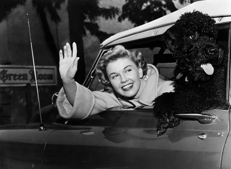 Doris Day with a poodle in her car circa 1955.