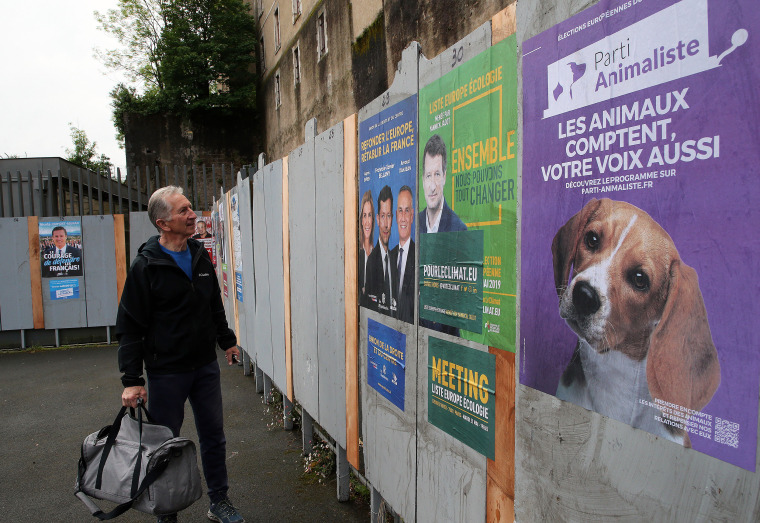 Image: French elections, EU