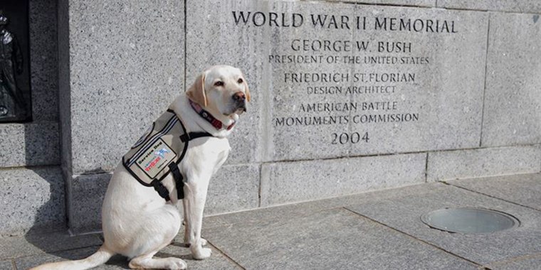 Sully honors George H.W. Bush on Memorial Day