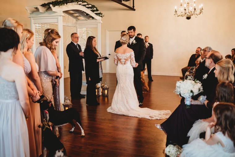 Bride uses dogs instead of flowers