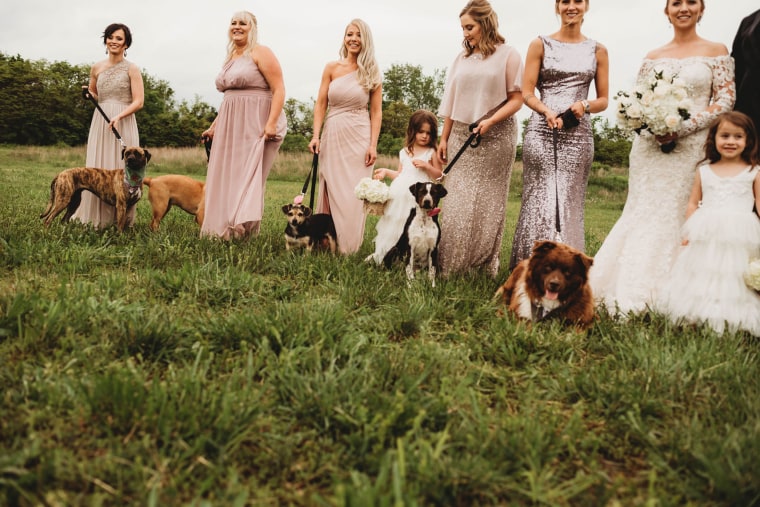 Bride uses dogs instead of flowers