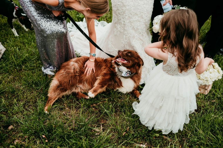 Bride uses dogs instead of flowers