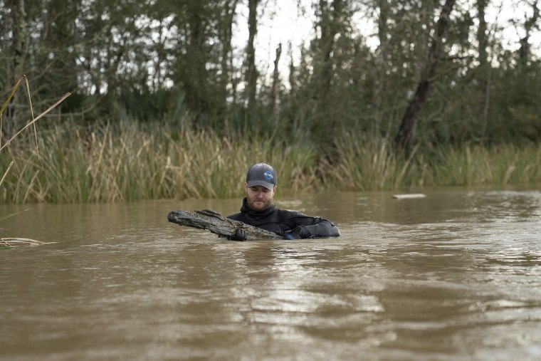 In this undated image released by SEARCH Inc., maritime archaeologist Kyle Lent examines a wooden plank from the hull of Clotilda, in delta waters north of Mobile Bay, Alabama. Remains of the Gulf schooner Clotilda were identified and verified near Mobile after months of assessment, a statement by the Alabama Historical Commission said.