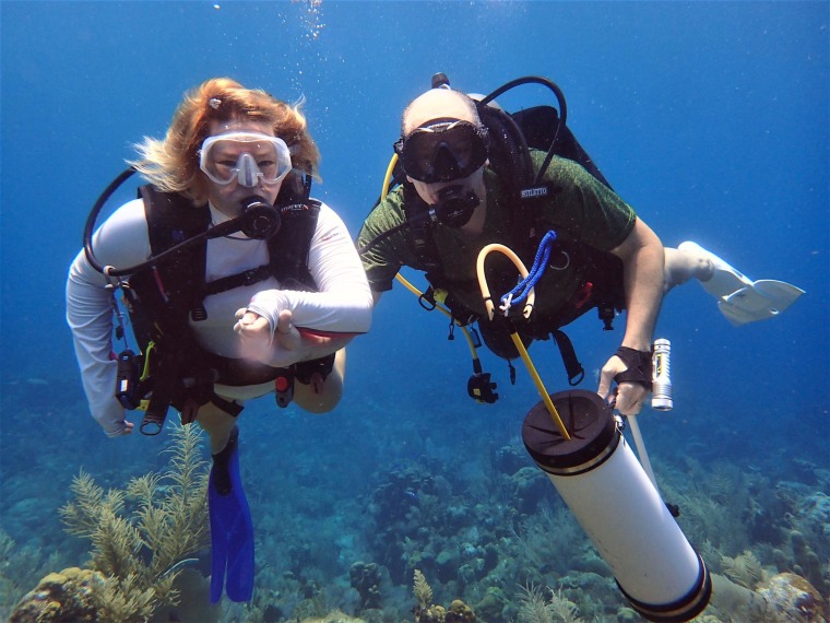 Amy and Lance Blackstone scuba dive.