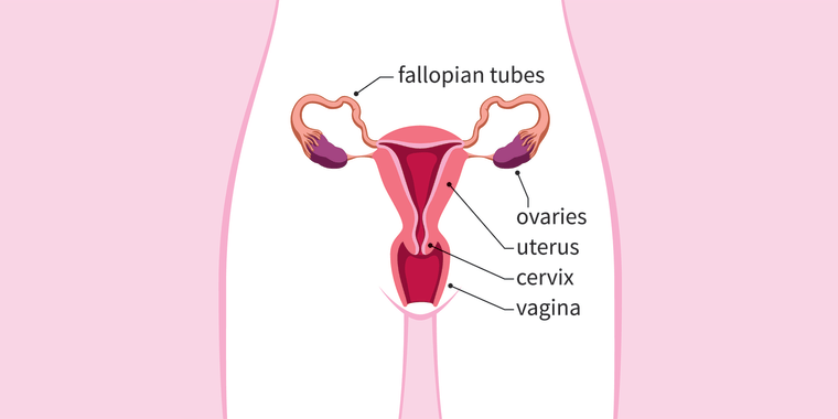 Tubal ligation is one of the most popular forms of permanent contraception in the world. 