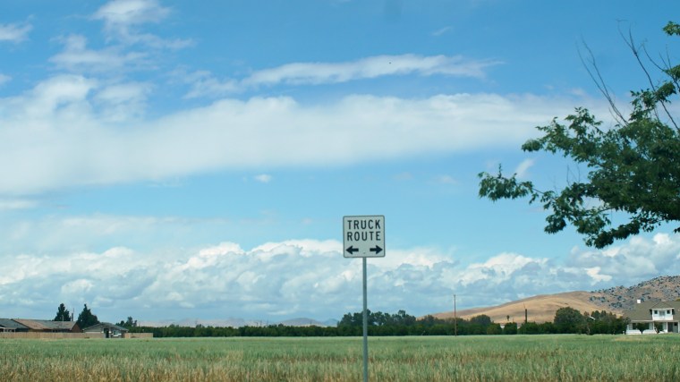 Image: Valley Fever