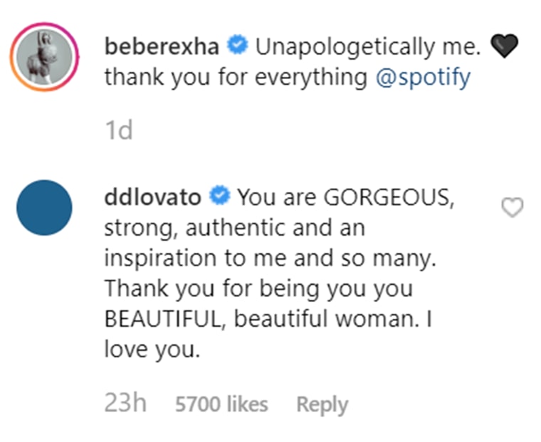 Demi Lovato shared a supportive message with her fellow singer.