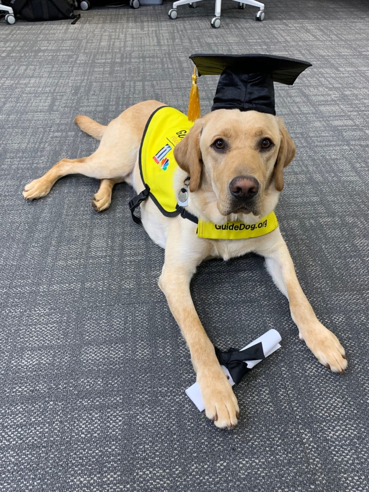 WBAL-TV's Puppy with a Purpose has a name!