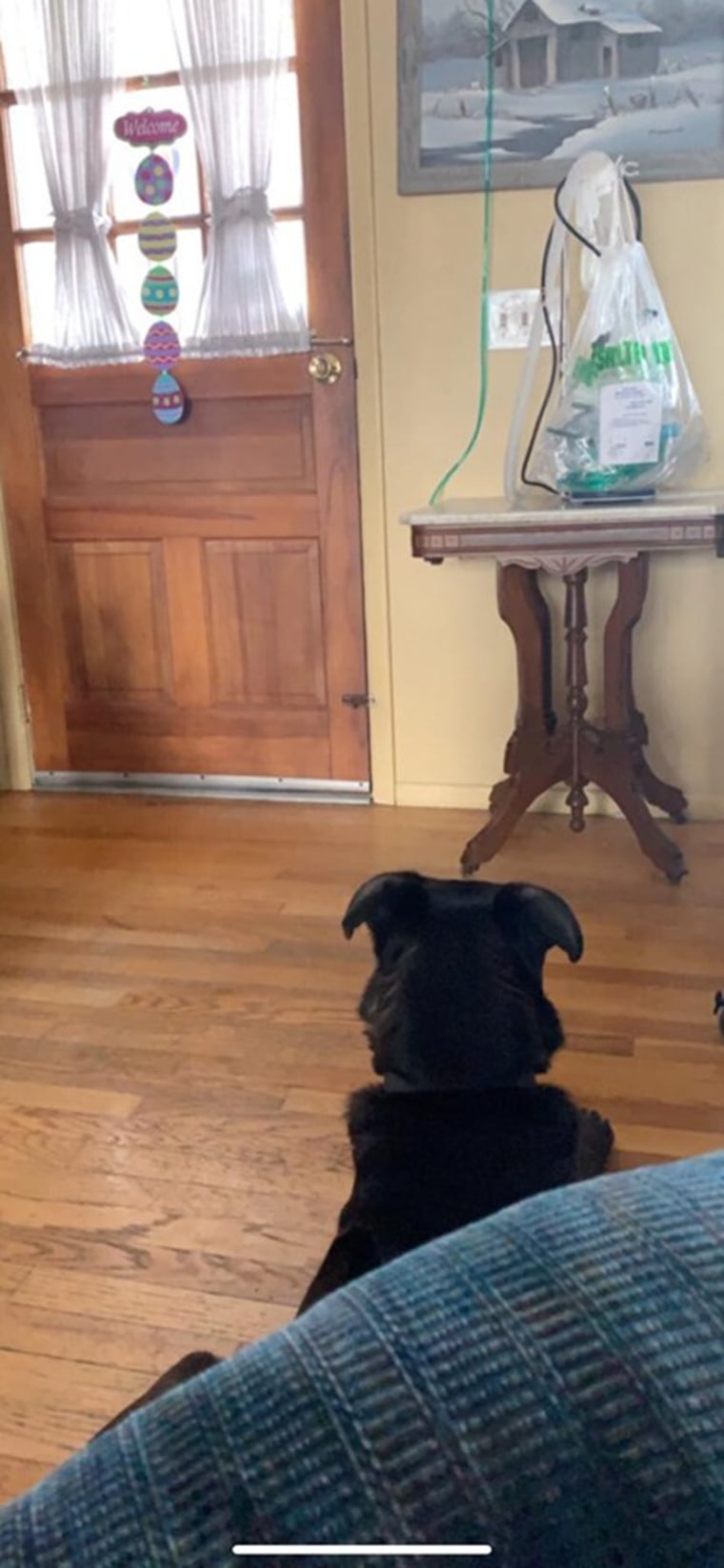 Dog seen mourning his owner after he passed