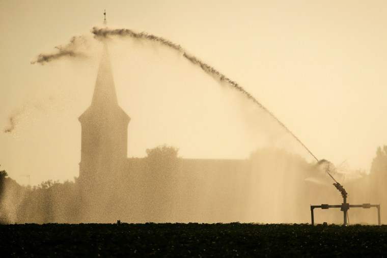 Image: A field of potatoes is irrigated during sunrise, as a heatwave hits France, in Blecourt