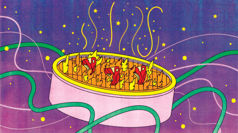 Illustration of steaks cooking on a fire pit.