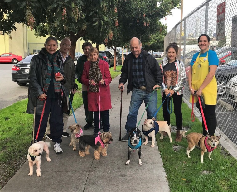 Senior people walk senior dogs as part of Muttville Senior Dog Rescue's Cuddle Club.