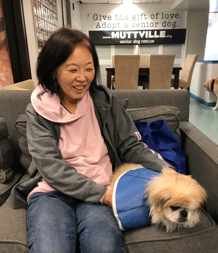 Muttville's Cuddle Club seniors spend time with senior animals