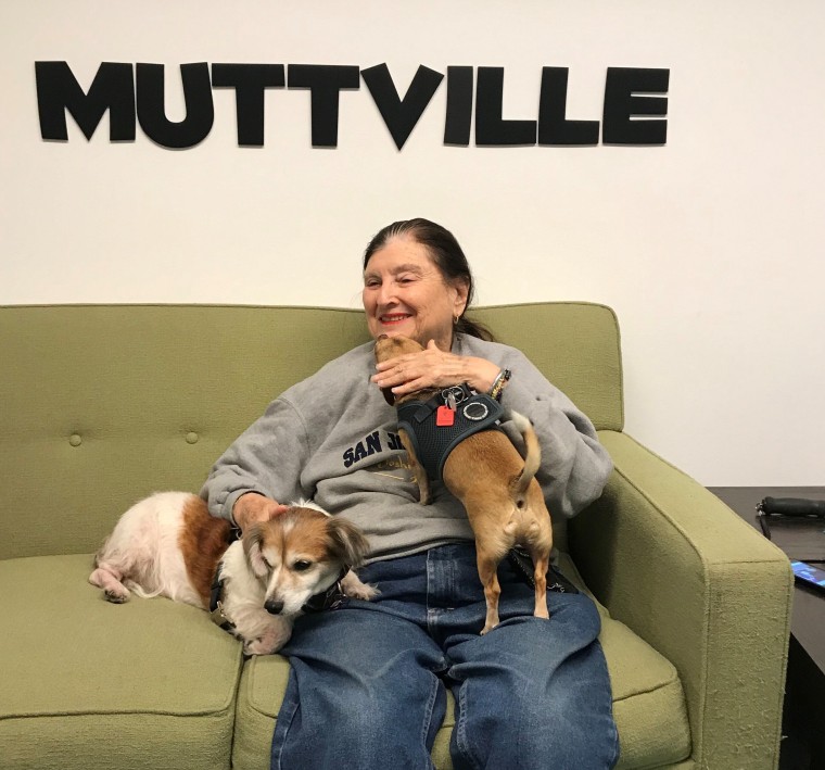 Muttville Senior Dog Rescue's Cuddle Club is a win-win for senior people and senior dogs.