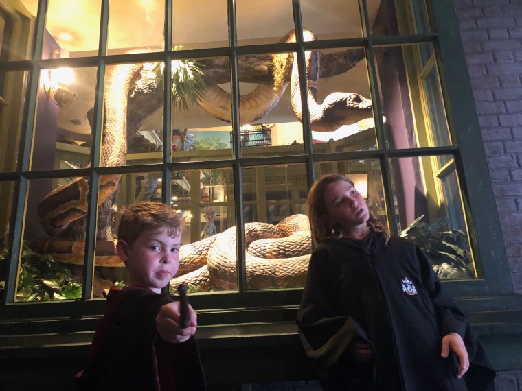 Hidden tips and tricks for Harry Potter World at Universal Orlando: Speak Parseltongue with a snake.
