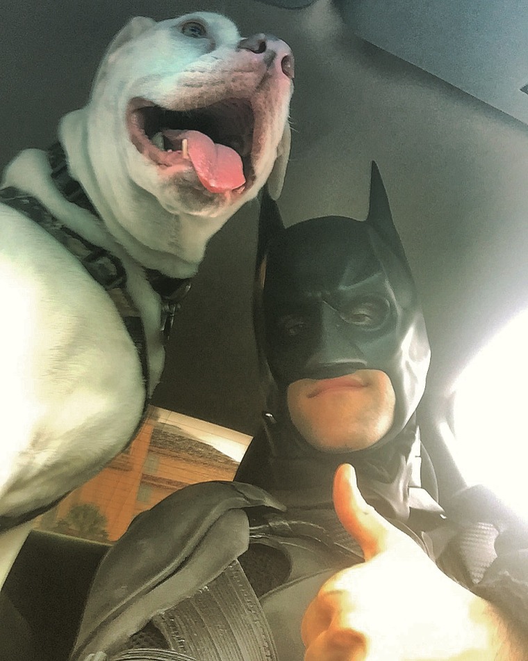 Animal rescuer Batman's first transport was a happy dog named Balto.