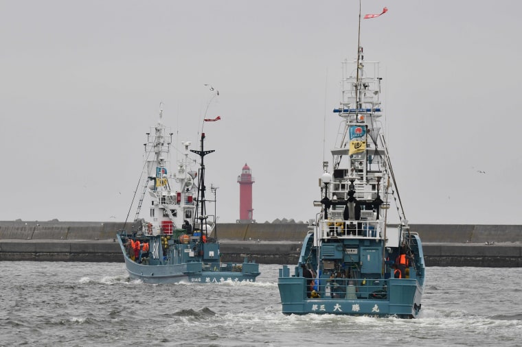 Image: Whaling ships depart from a port in Kushiro on Monday.