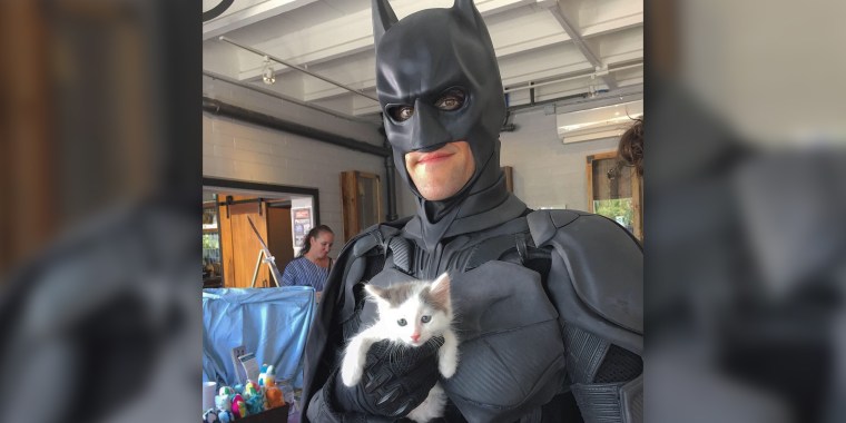 Batman returns - as an animal rescuer