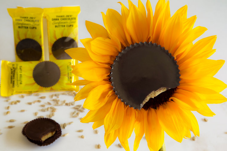 Trader Joe's Dark Chocolate Sunflower Seed Butter Cups