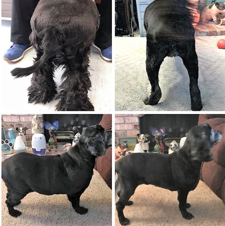 Before and after photo of Penelope's weight loss journey