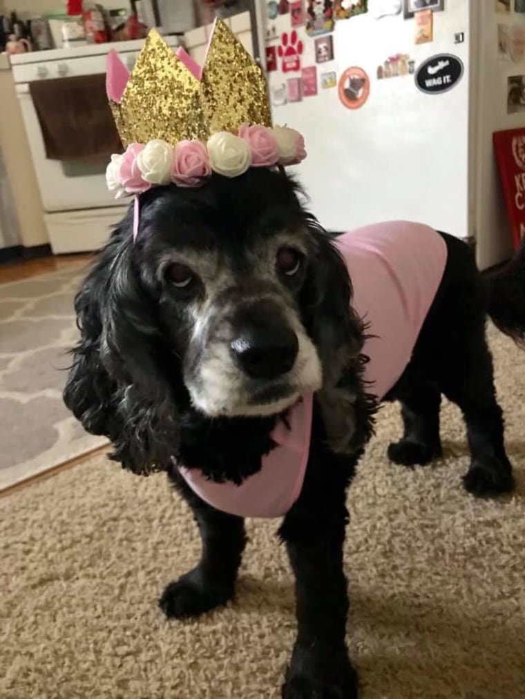 Penelope celebrated her 11th birthday on June 15, 2019