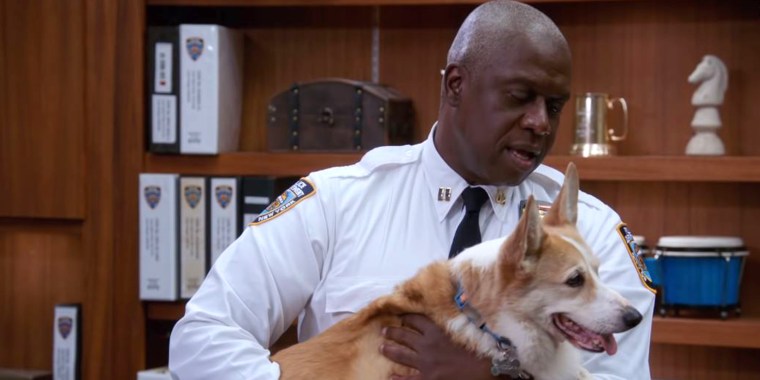Dog from Brooklyn 99 passed away