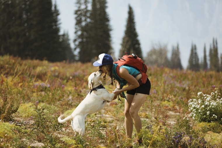 How Do I Keep Ticks off My Dog While Walking: Expert Tips and Strategies