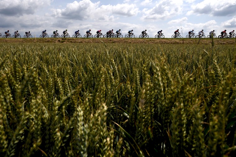 Image: TOPSHOT-CYCLING-FRA-TDF2019