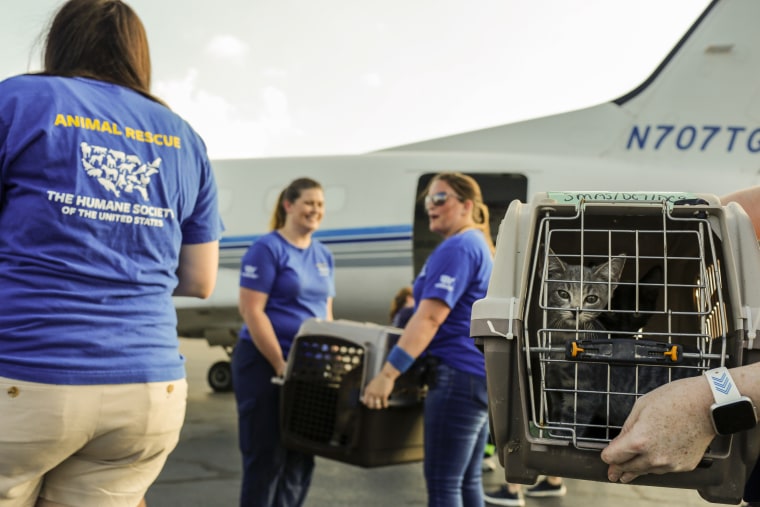 Image: Tropical Storm Barry animal evacuations