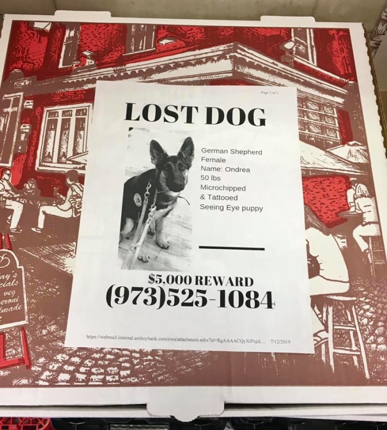 Angelo's Pizza Lost Dog Flyer