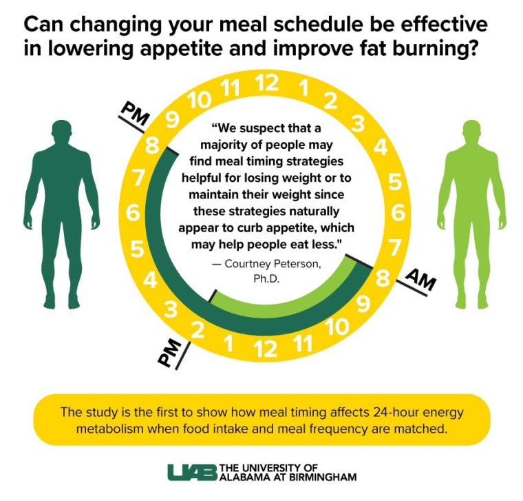 BITESIZE, Why Intermittent Fasting Works