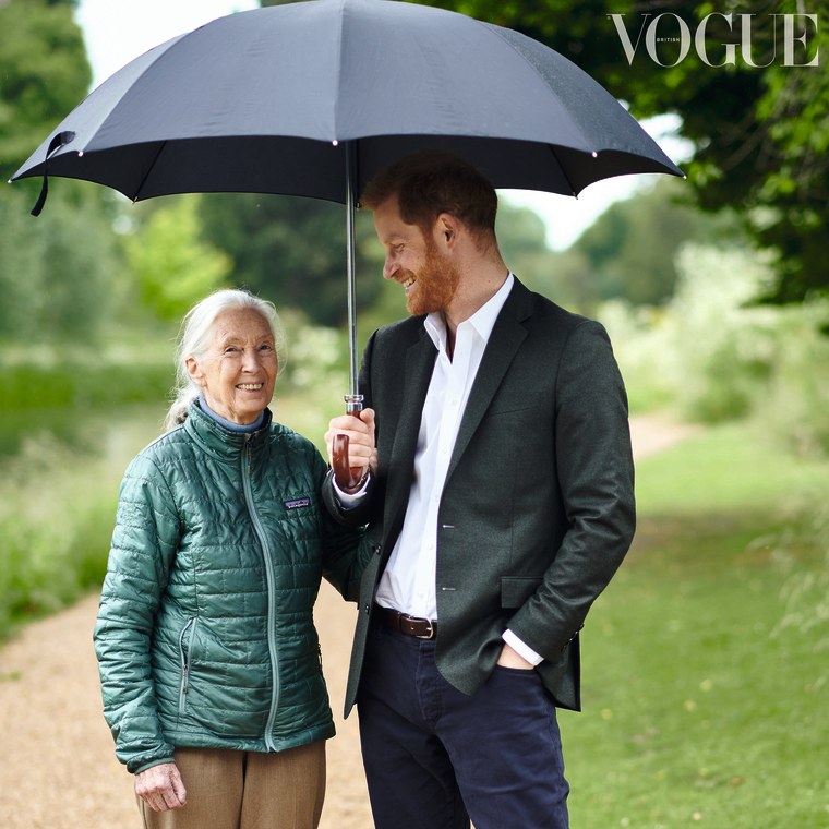 Jane Goodall and Prince Harry had a wide-ranging chat for the September issue of British Vogue, which is guest edited by Meghan, Duchess of Sussex.