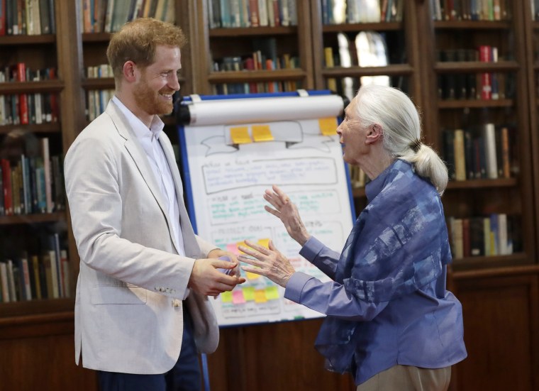 Image: The Duke Of Sussex Attends Dr. Jane Goodall's Roots &amp; Shoots Global Leadership Meeting