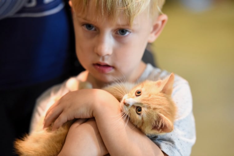 A child cuddles a kitten at Brandywine Valley SPCA in Delaware.