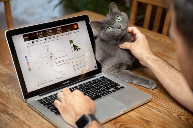 A cat poses next to a laptop with the community lifesaving dashboard open.