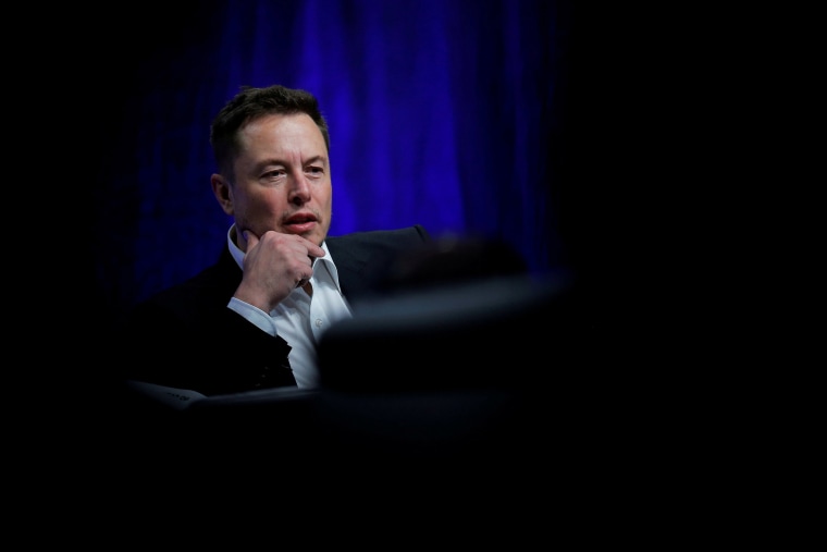 Image: Tesla Motors CEO Elon Musk