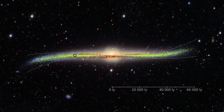 Warped galaxy with the distribution of the young stars (Cepheids) in the disk as inferred from the Galactic Cepheids distribution