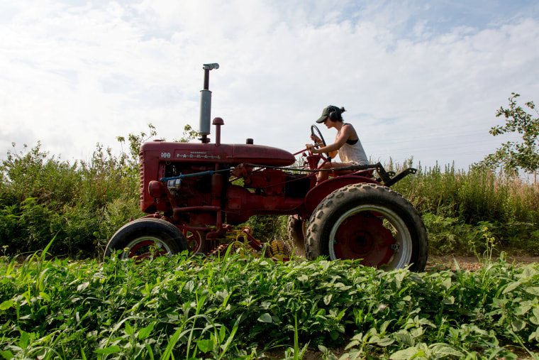 Image: Amanda Merrow, co-founder of Amber Waves Farm, weeds and transplants crops on the farm in Amagansett