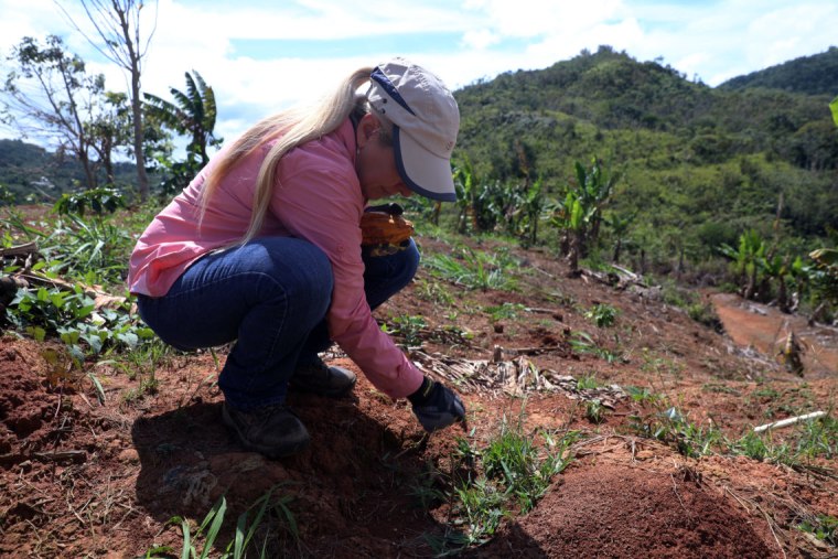 Iris Jeannette planted new coffee trees on her farm in Puerto Rico after the destruction from Hurricane Maria.