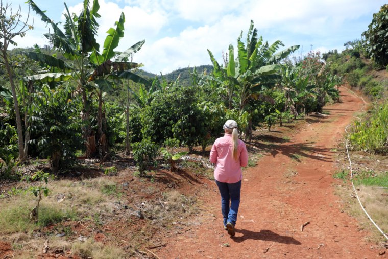 Iris Jeannette walks around her coffee farm in Puerto Rico, nearly two years after the destruction from Hurricane Maria.