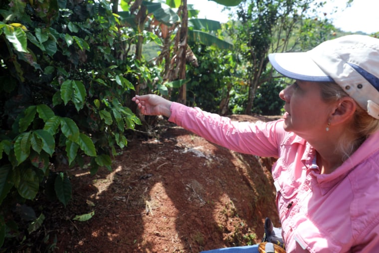 Iris Jeannette is a third-generation Puerto Rican farmer whose coffee crop was destroyed in Hurricane Maria in 2017. She has planted new trees and is hopeful for the industry.
