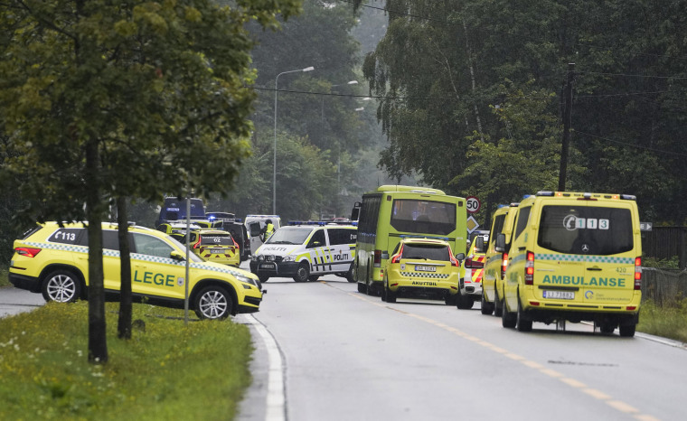 Image: Norway mosque shooting